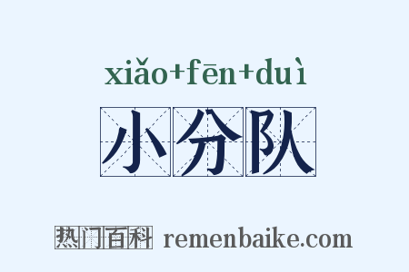 小分队是什么意思的图片